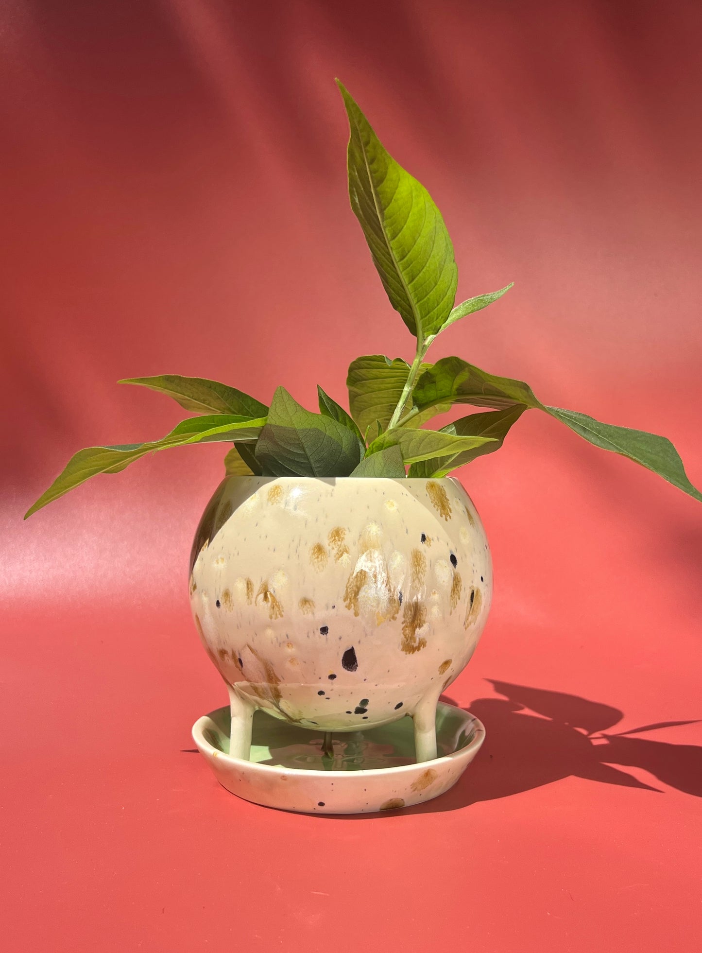 The Baby Billina Planter in Calico