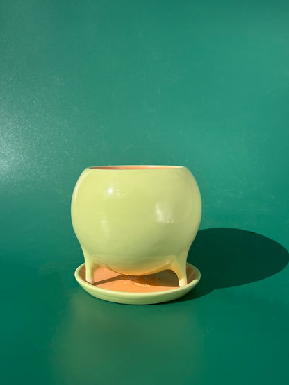 PREORDER Baby Billina Planter in Green and Peach