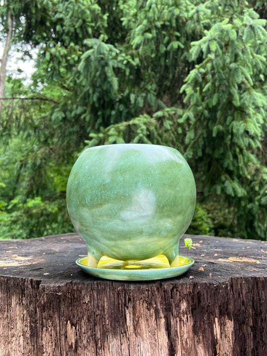 💚The Big Billina Planter Green and Highlighter