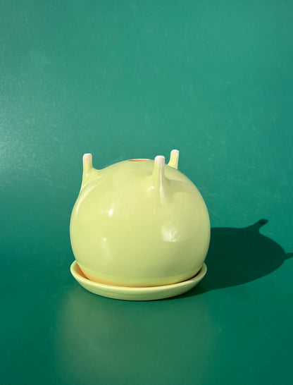 PREORDER Baby Billina Planter in Green and Peach