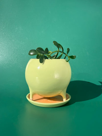 PREORDER Baby Billina Planter in Green and Peach